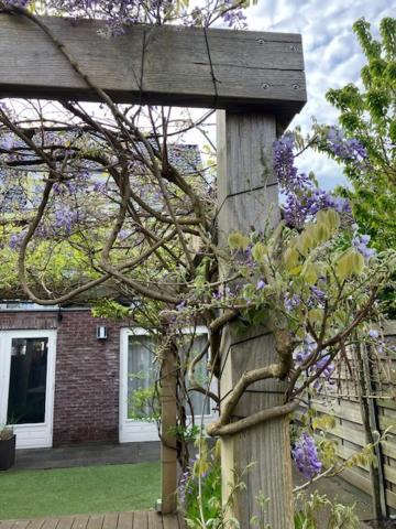 B&B Schiphol Amsterdam Rijsenhout Exterior foto